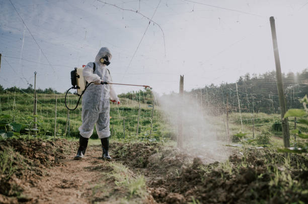 Best Mosquito Control Services  in Astatula, FL