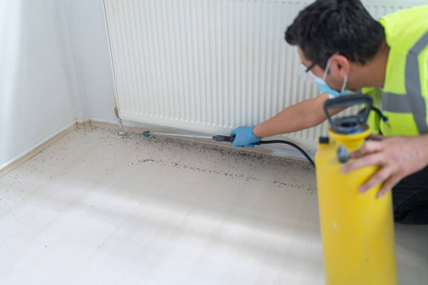 Best Best Pest Control Companies  in Astatula, FL