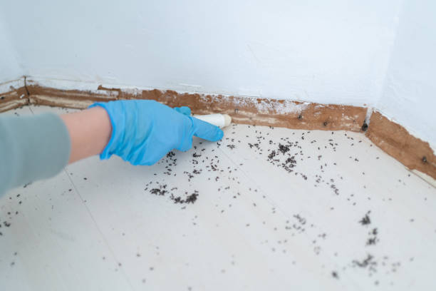 Pest Control Cost in Astatula, FL