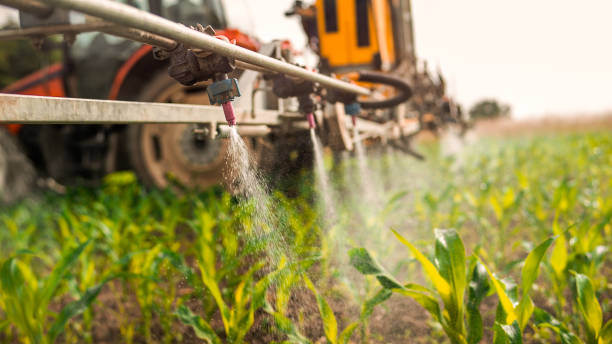 Best Wildlife Control Services  in Astatula, FL